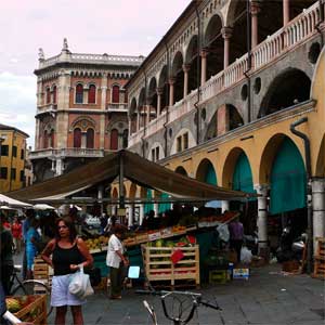 파도바의 건축물