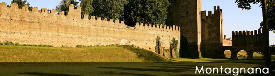Montagnana City